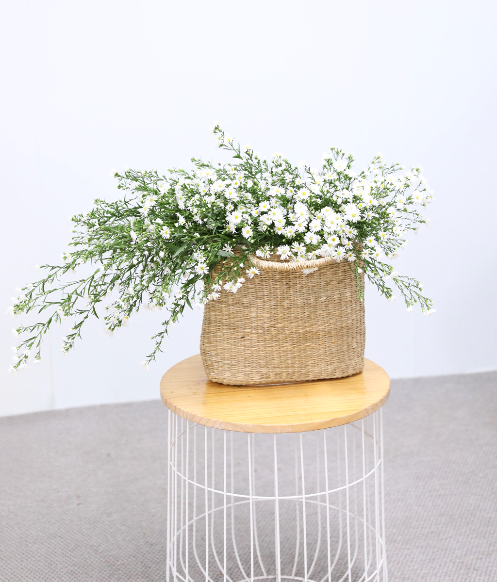 ���� ����� ����