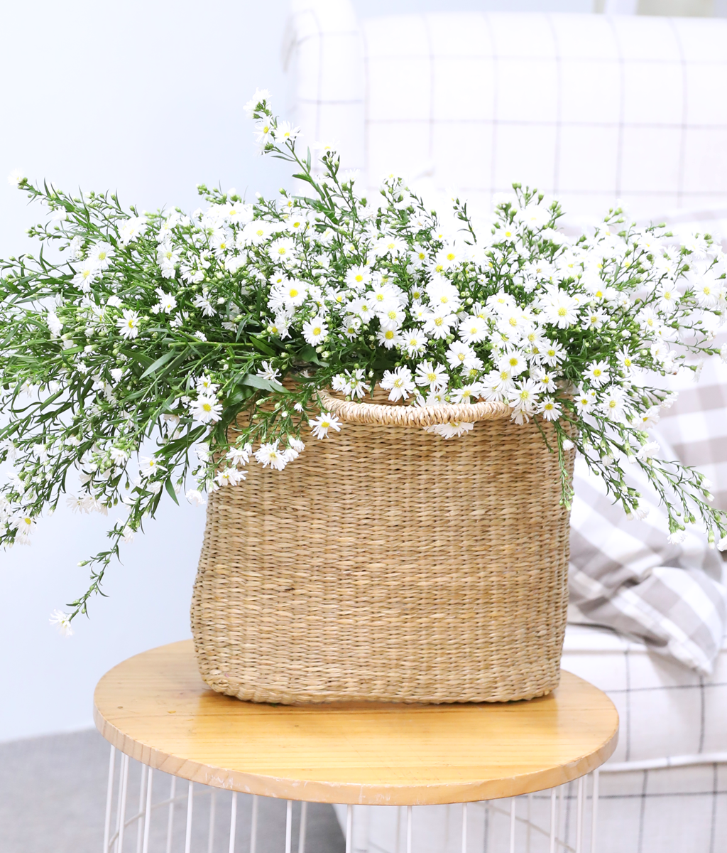 ���� ����� ����