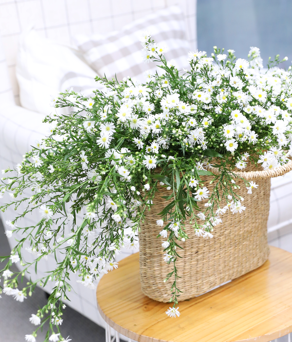 ���� ����� ����