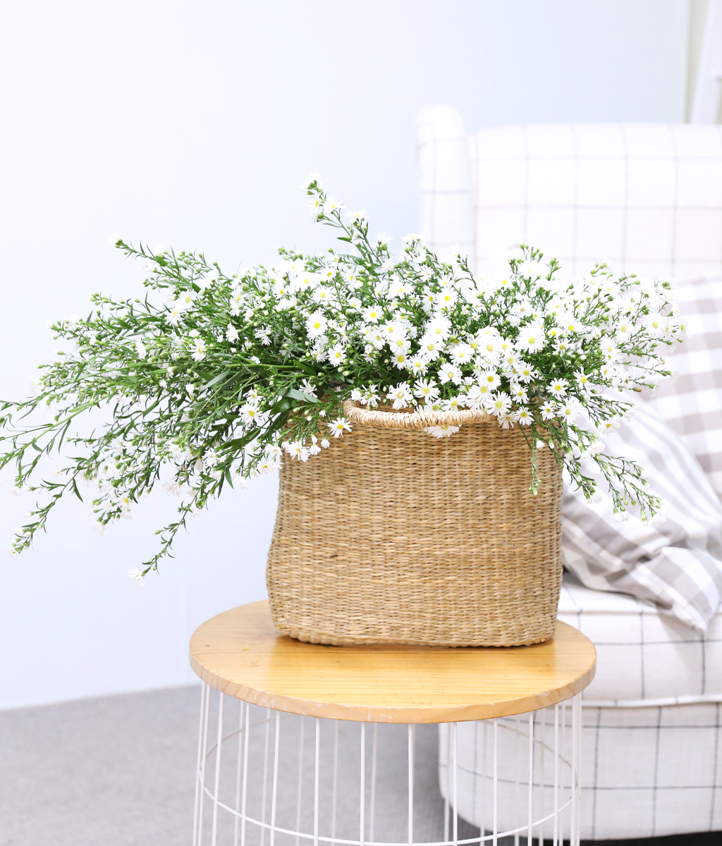 ���� ����� ����