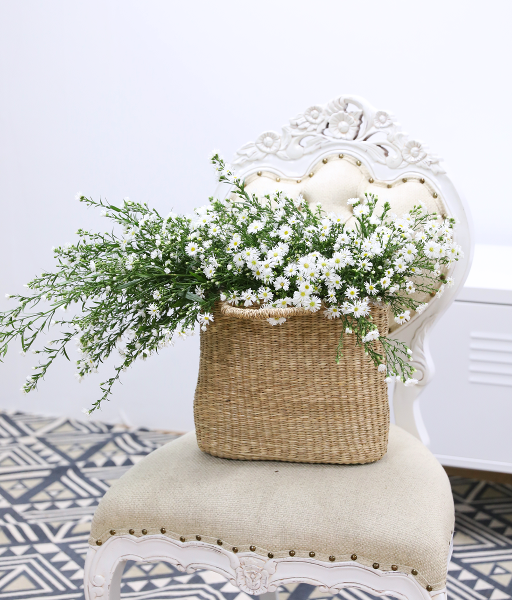 ���� ����� ����