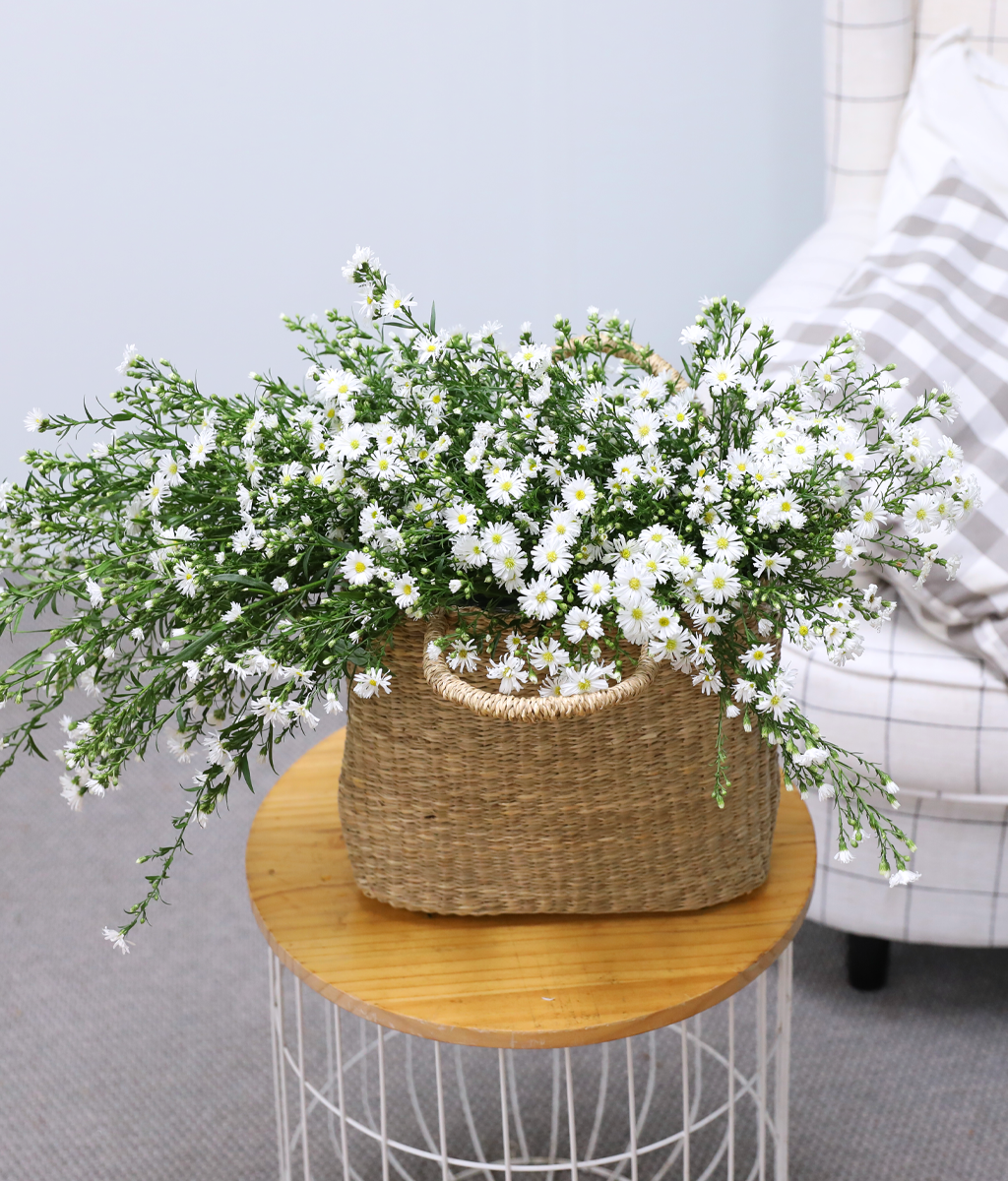 ���� ����� ����