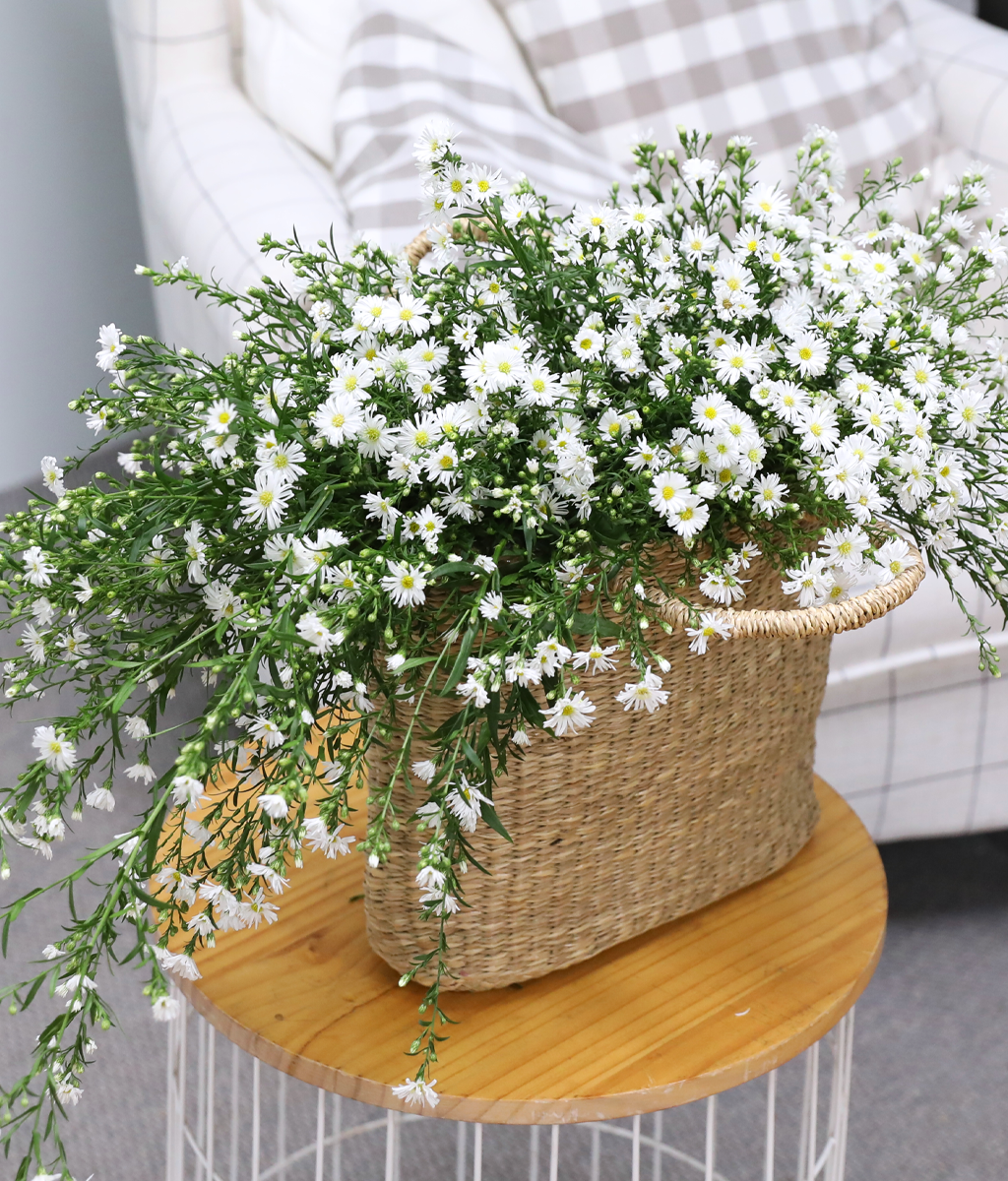 ���� ����� ����