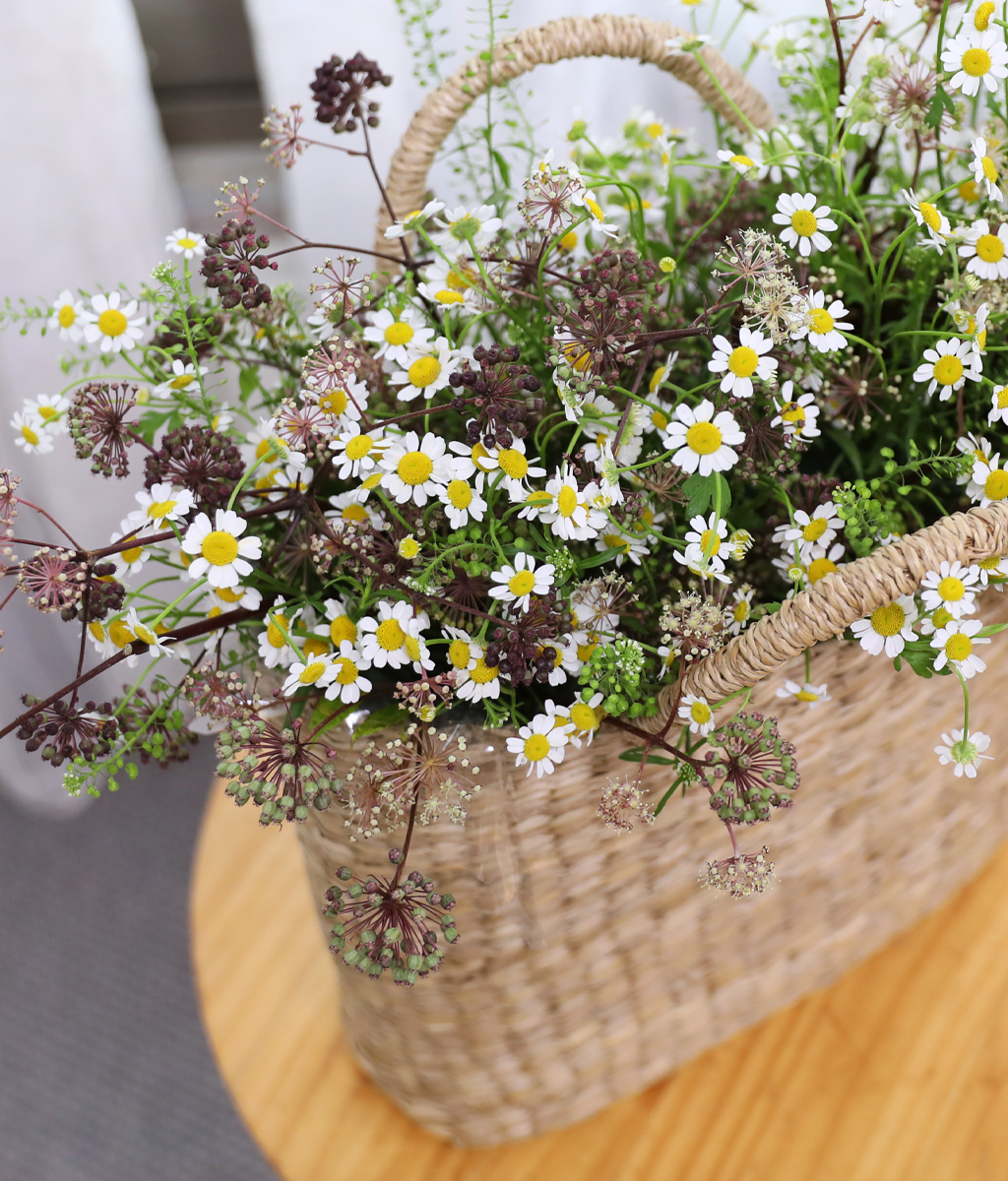 �ٶ��� �ӹ� ����