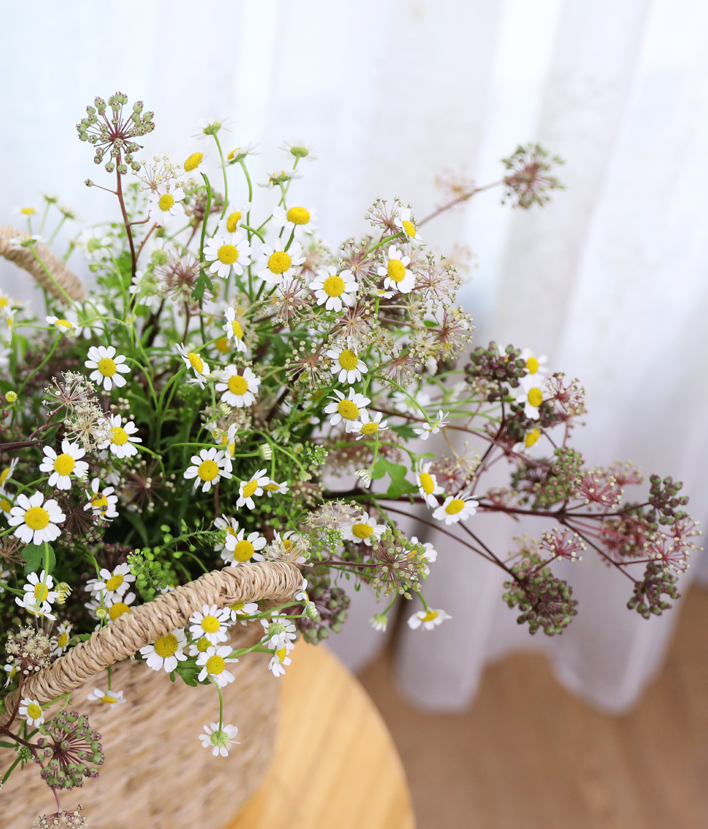 �ٶ��� �ӹ� ����