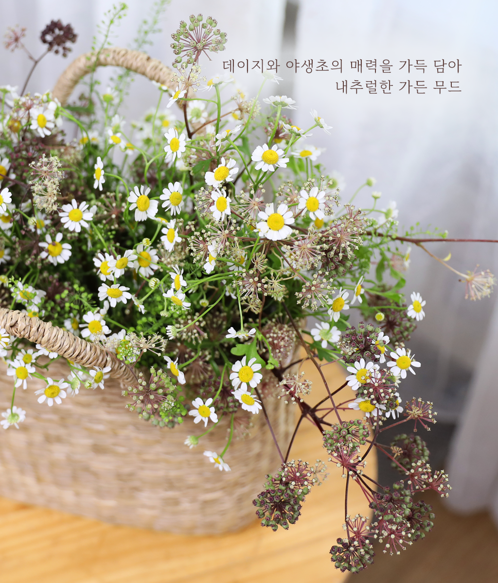 �ٶ��� �ӹ� ����