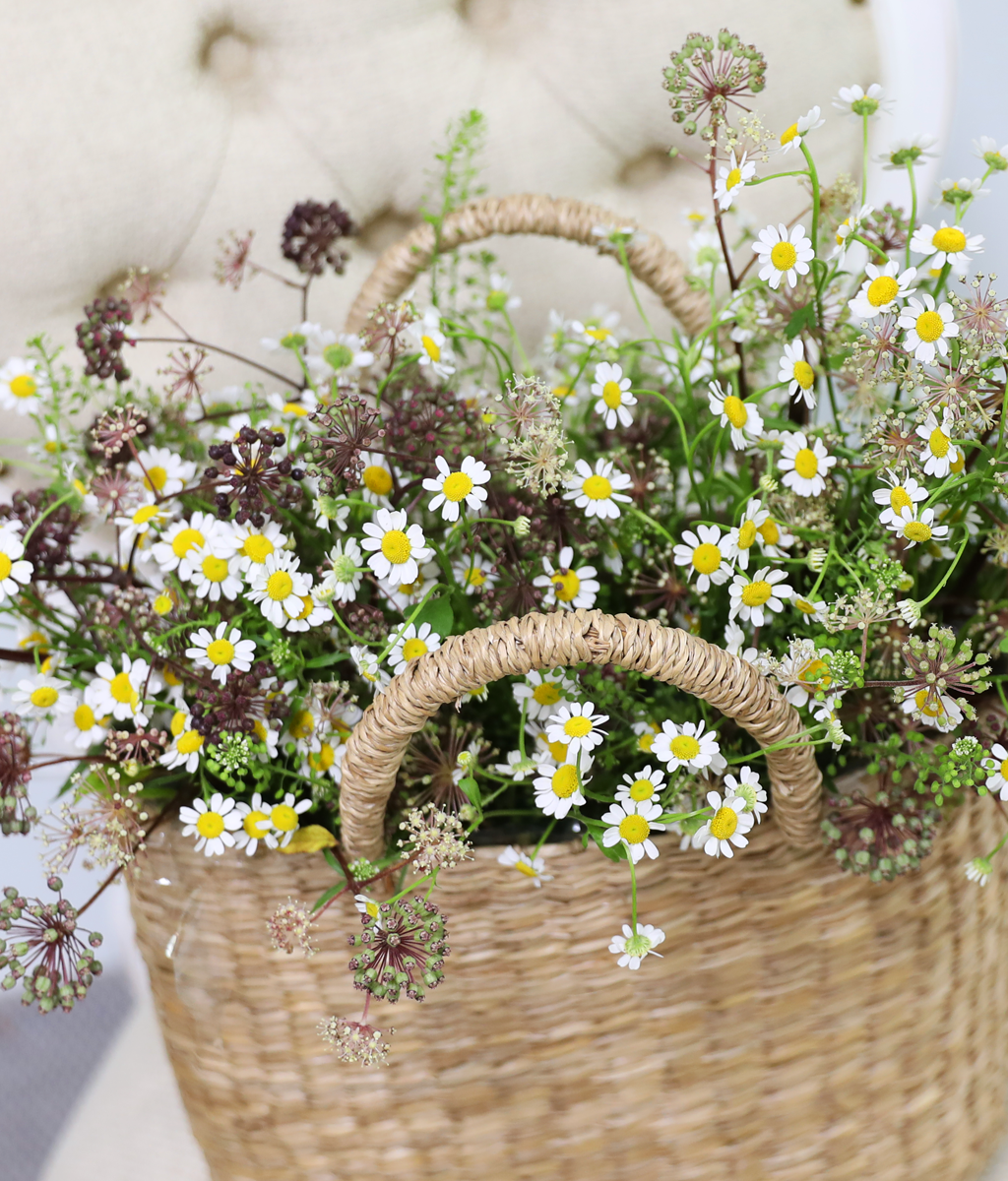 �ٶ��� �ӹ� ����