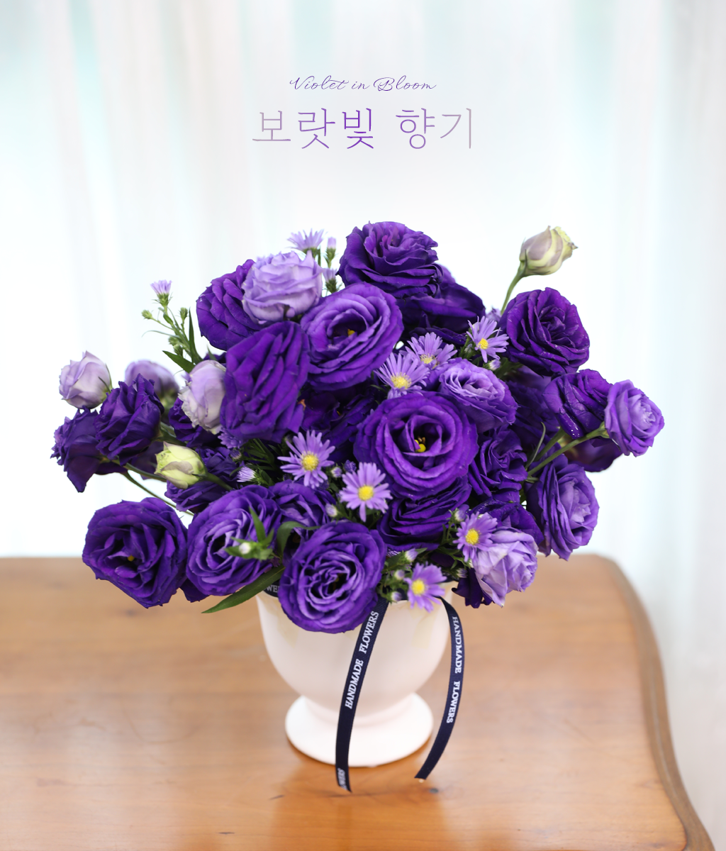 ������ ���