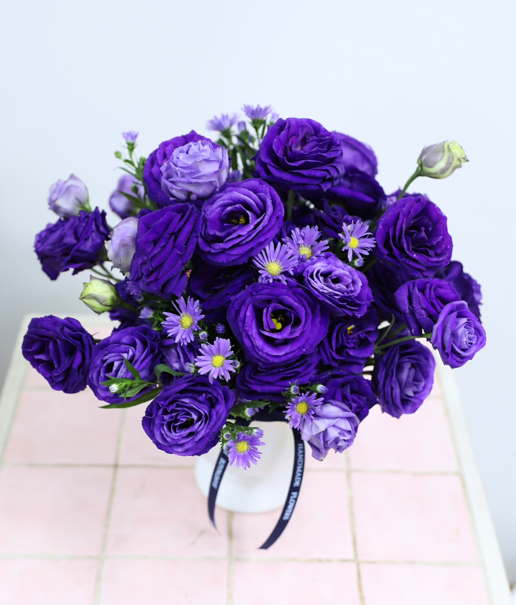 ������ ���