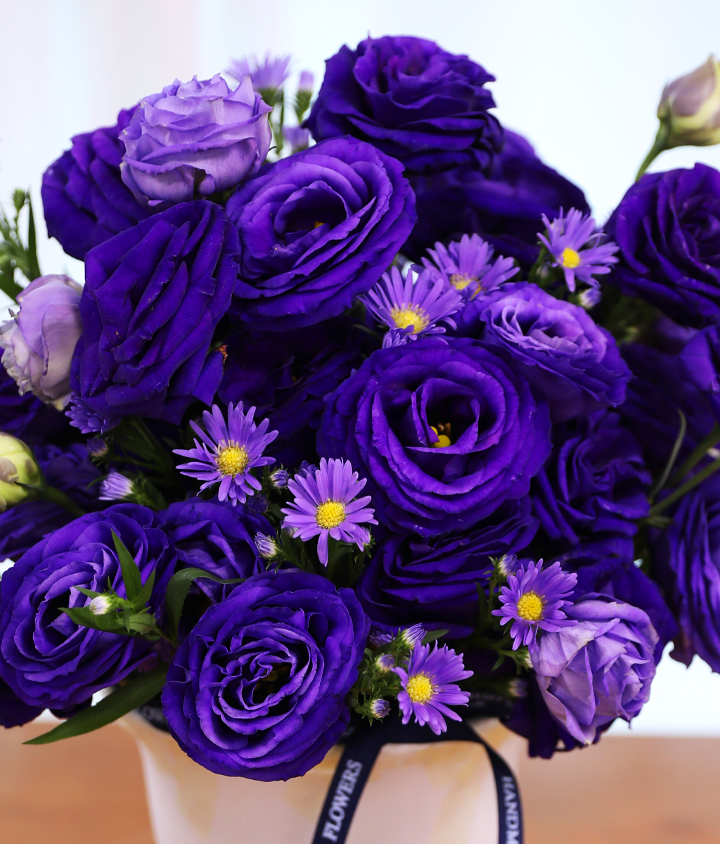 ������ ���