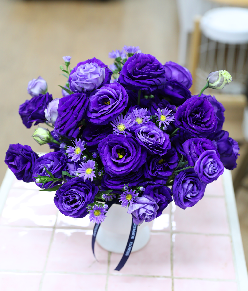 ������ ���