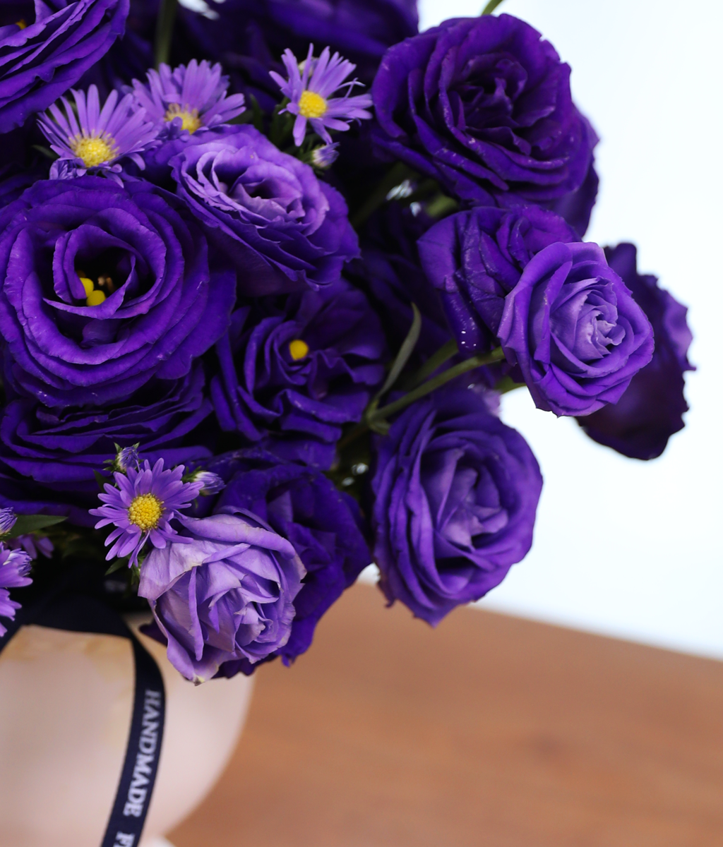 ������ ���