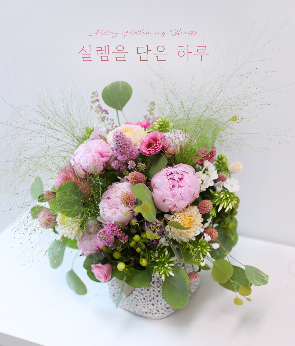 ������ ���� �Ϸ�