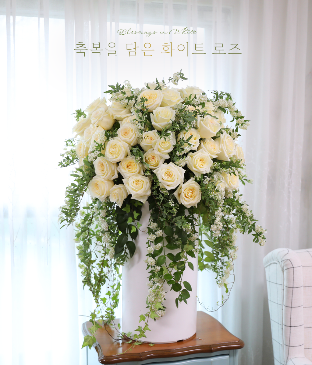 �ູ�� ���� ȭ��Ʈ ����