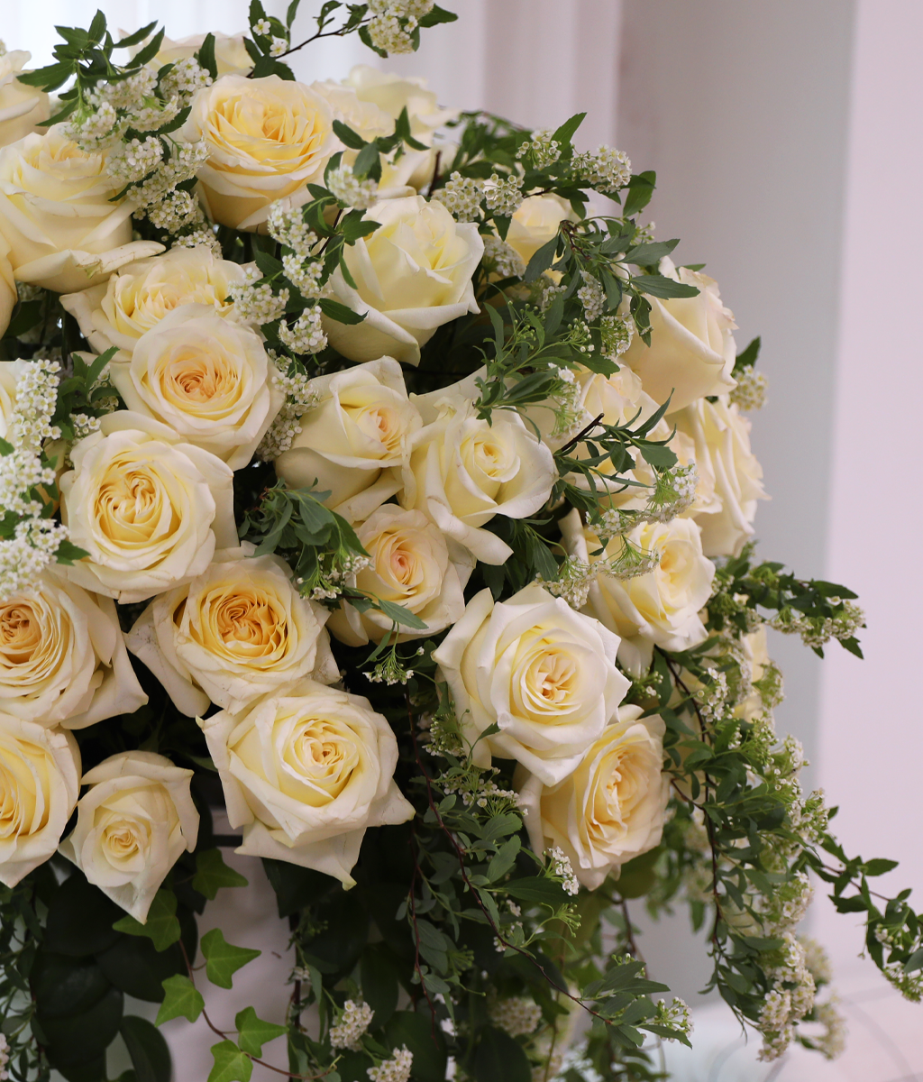 �ູ�� ���� ȭ��Ʈ ����