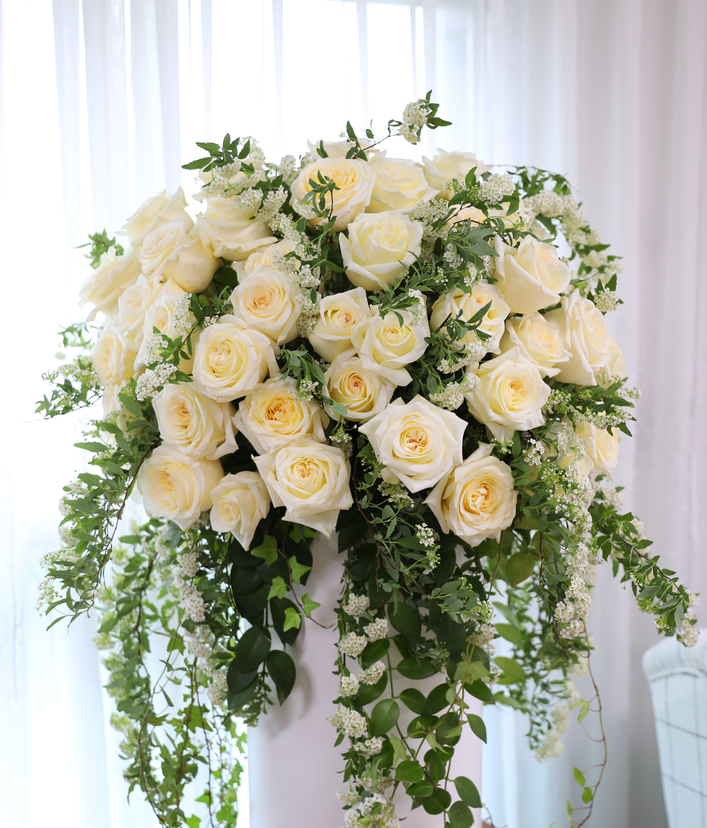 �ູ�� ���� ȭ��Ʈ ����