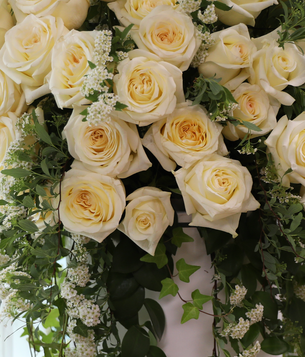 �ູ�� ���� ȭ��Ʈ ����