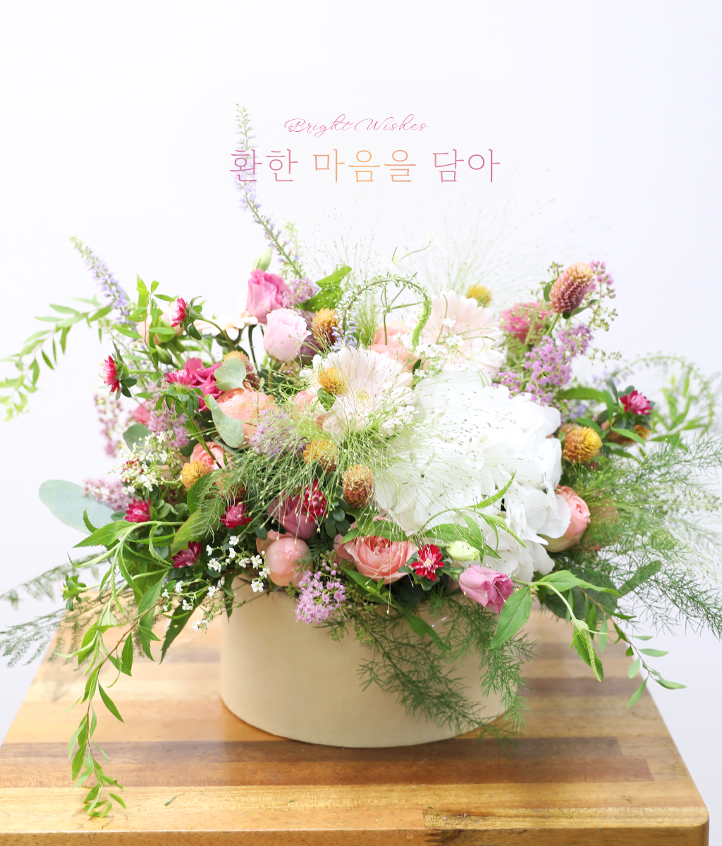 ȯ�� ������ ���