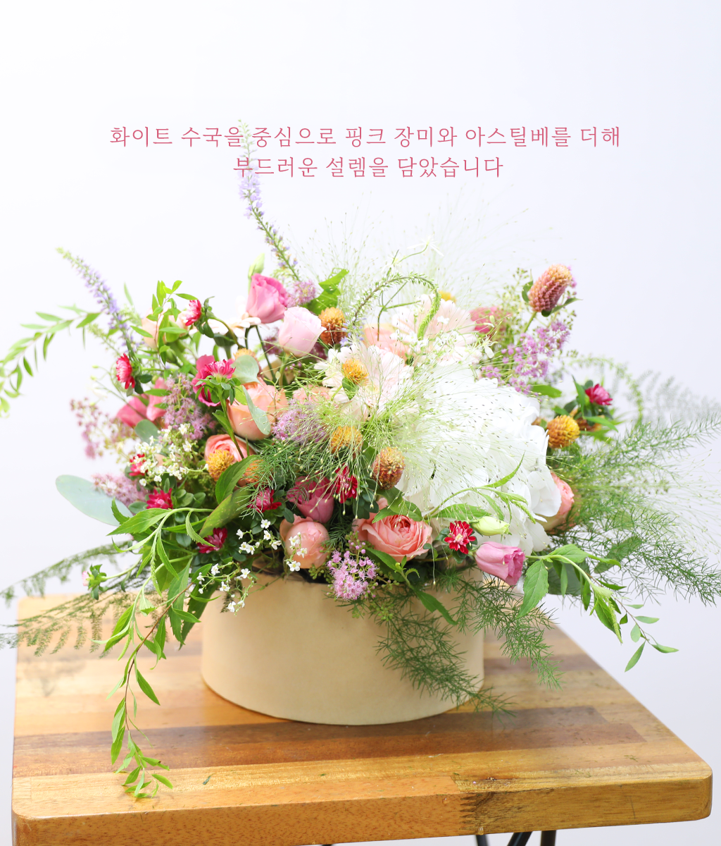 ȯ�� ������ ���