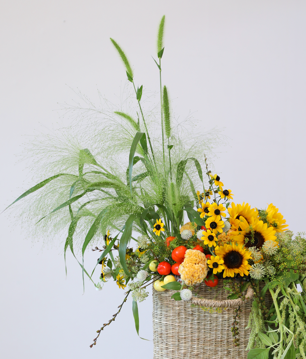 �޻��� ������ �Ϸ�