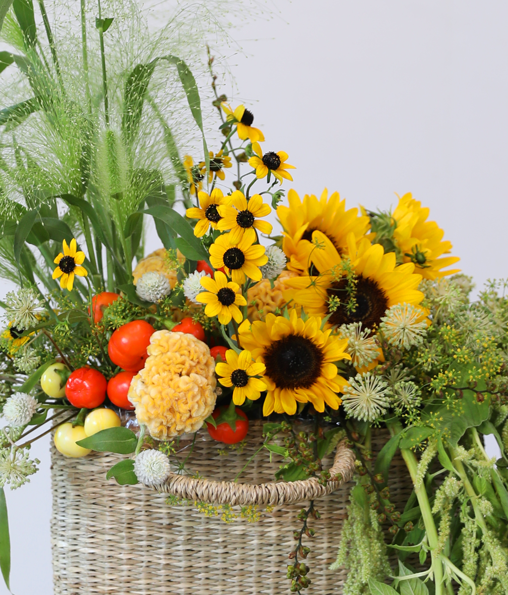 �޻��� ������ �Ϸ�