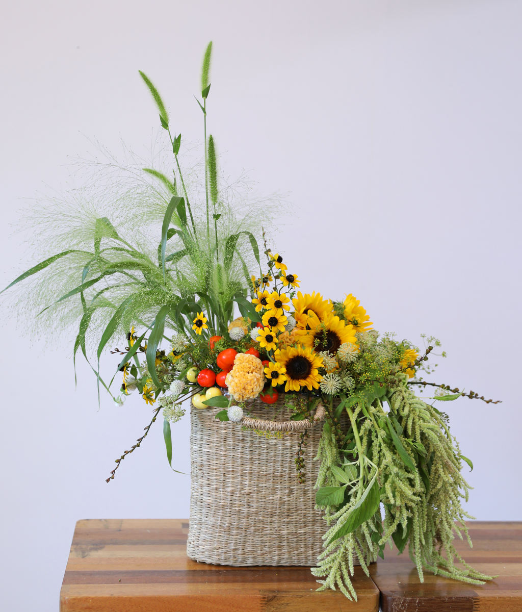 �޻��� ������ �Ϸ�