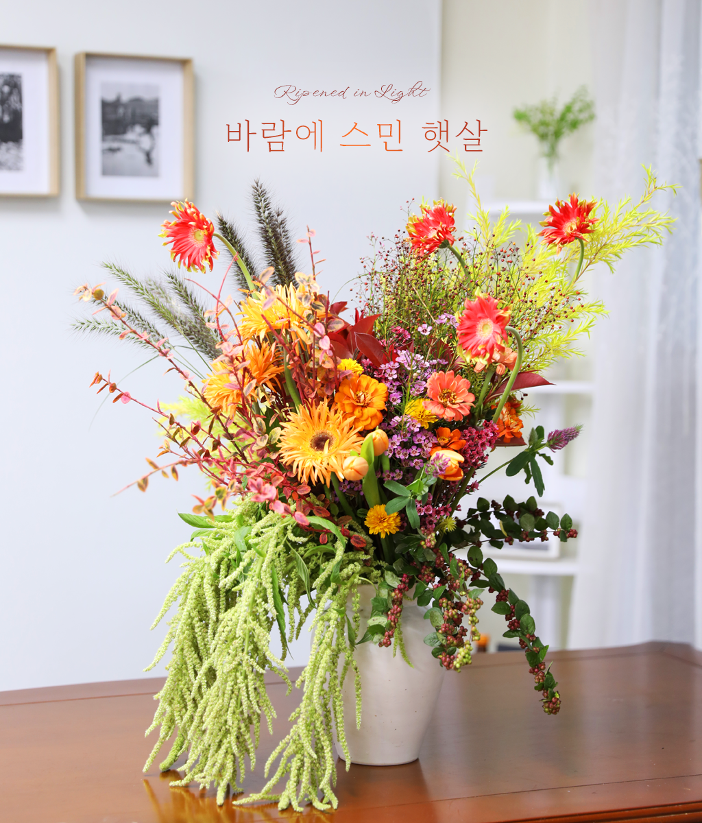 �ٶ��� ���� �޻�