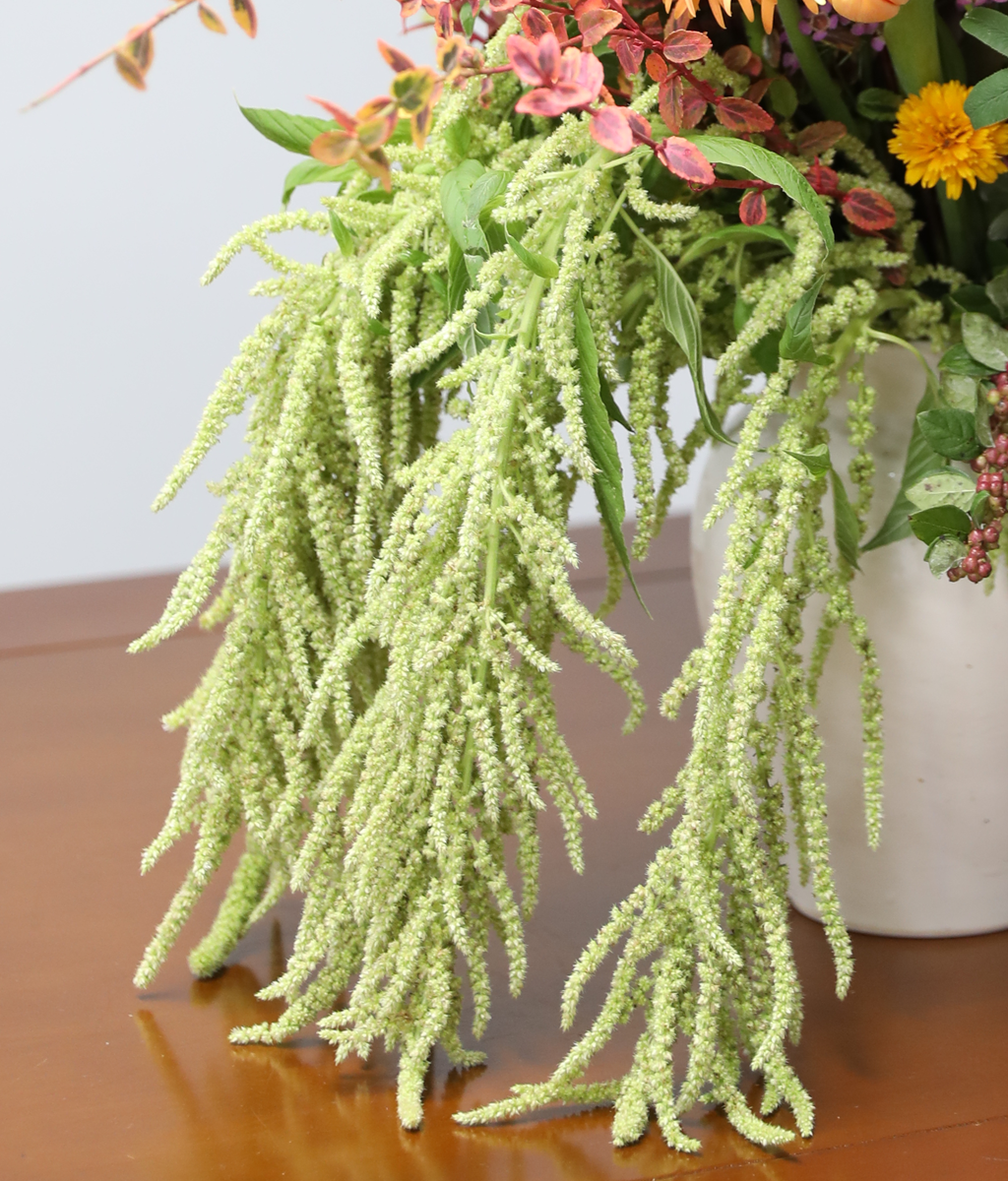 �ٶ��� ���� �޻�