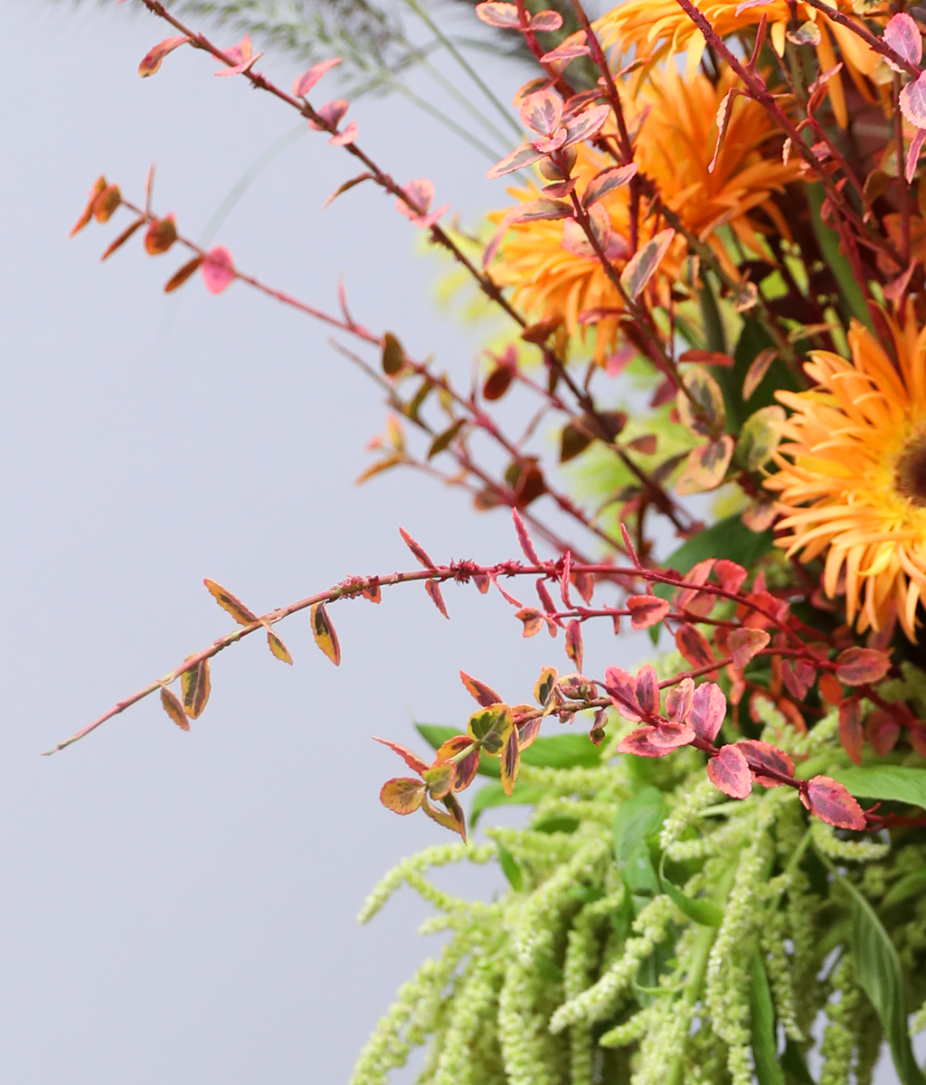 �ٶ��� ���� �޻�