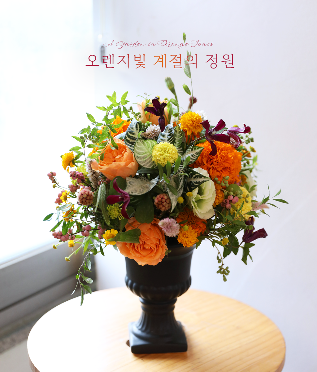 �������� ������ ����