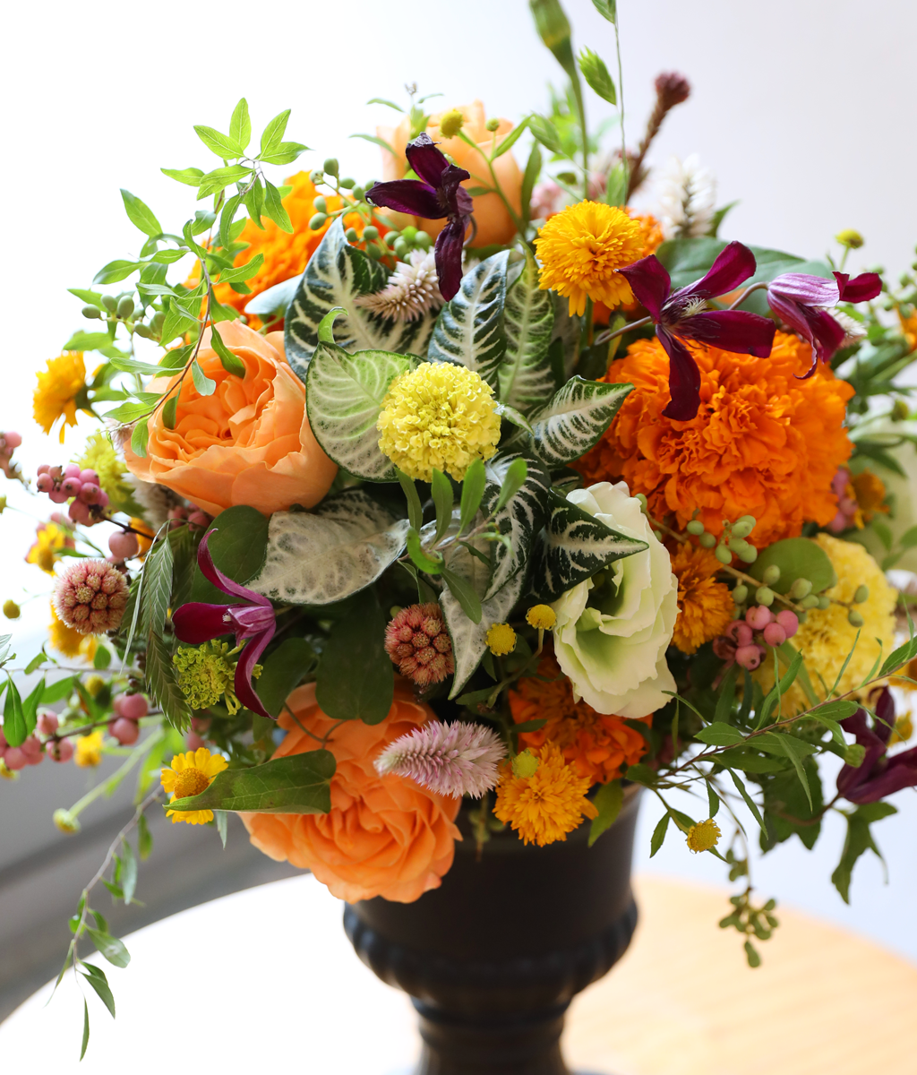 �������� ������ ����