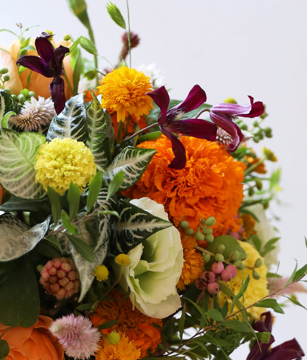 �������� ������ ����