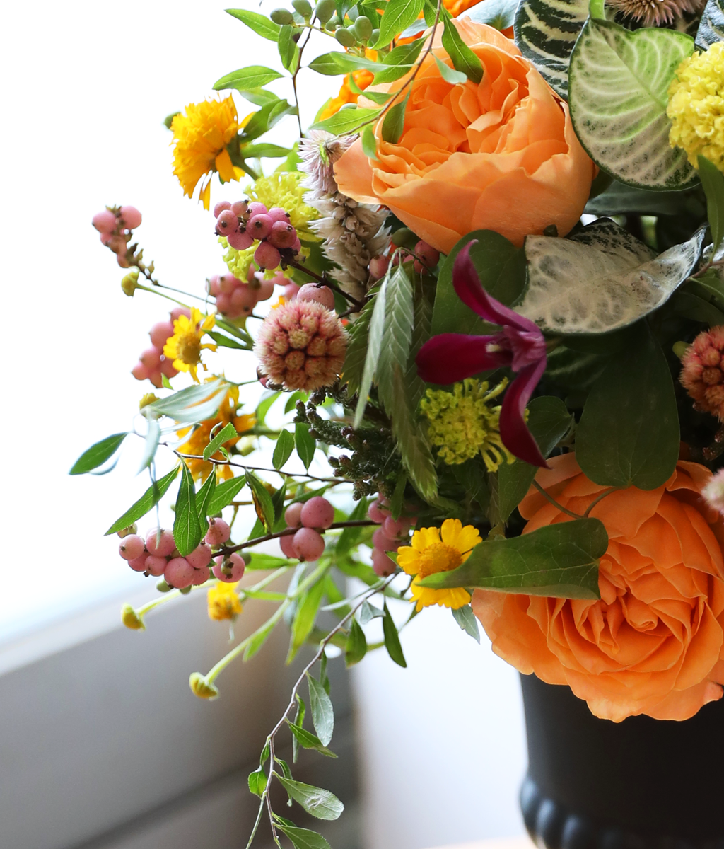 �������� ������ ����