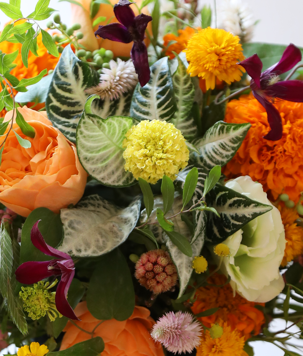 �������� ������ ����