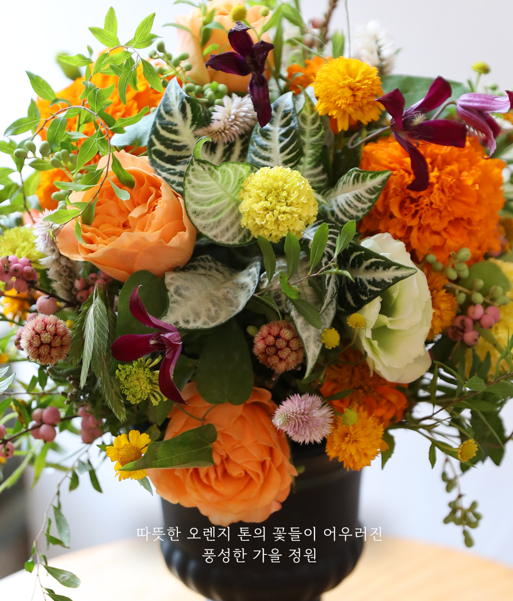 �������� ������ ����