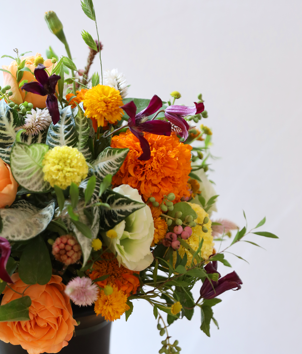 �������� ������ ����