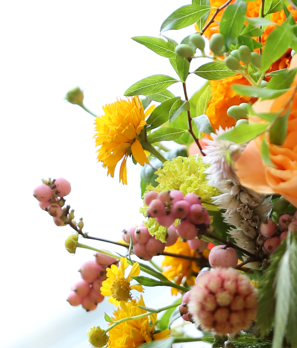 �������� ������ ����