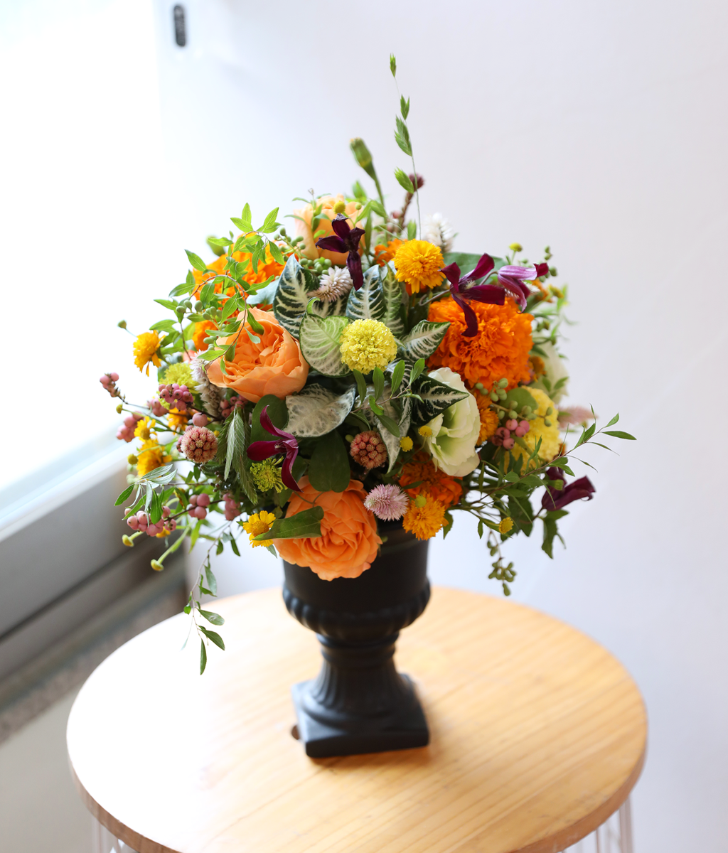 �������� ������ ����