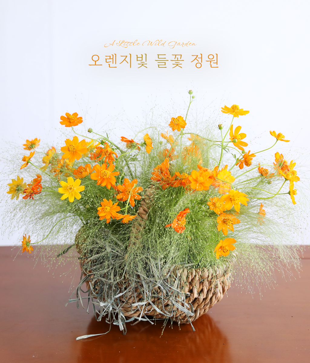 �������� ��� ����