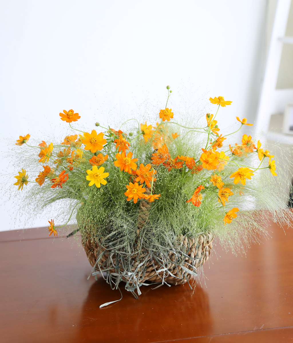 �������� ��� ����