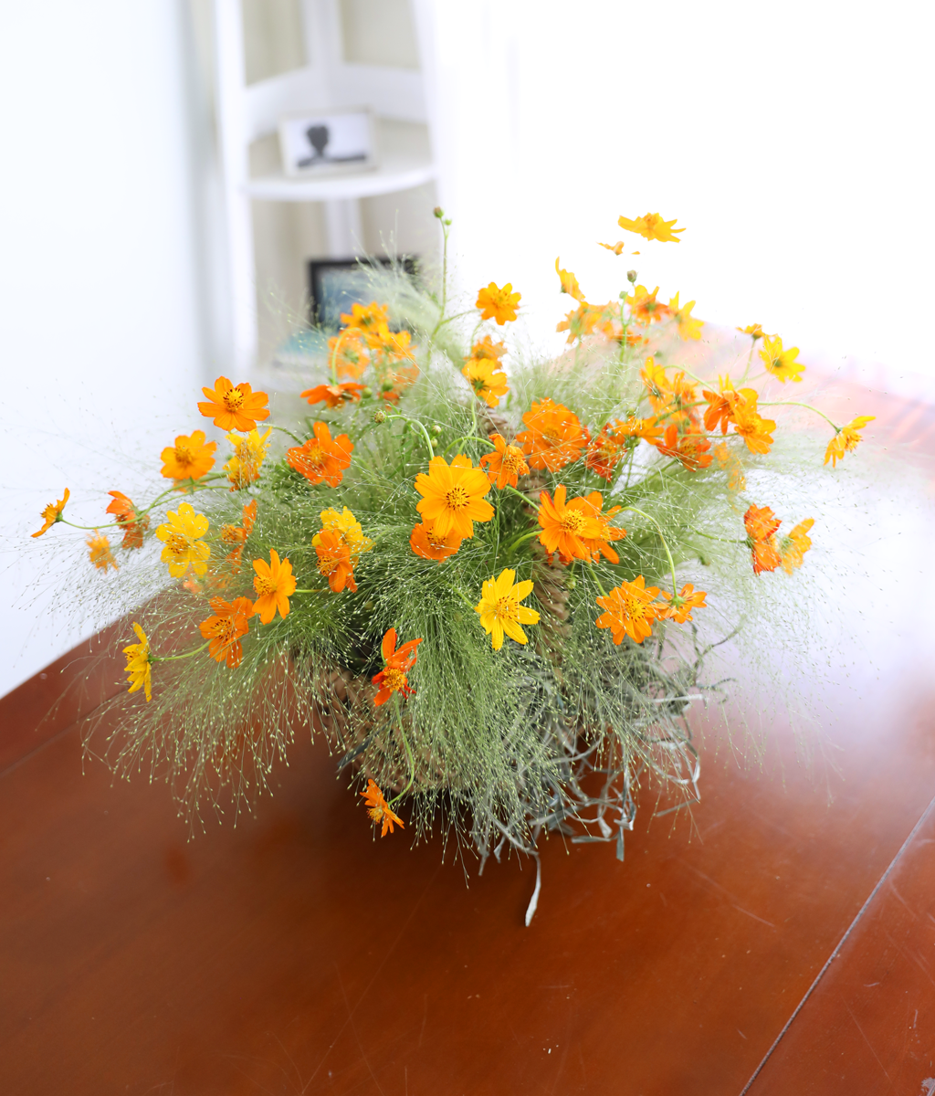 �������� ��� ����