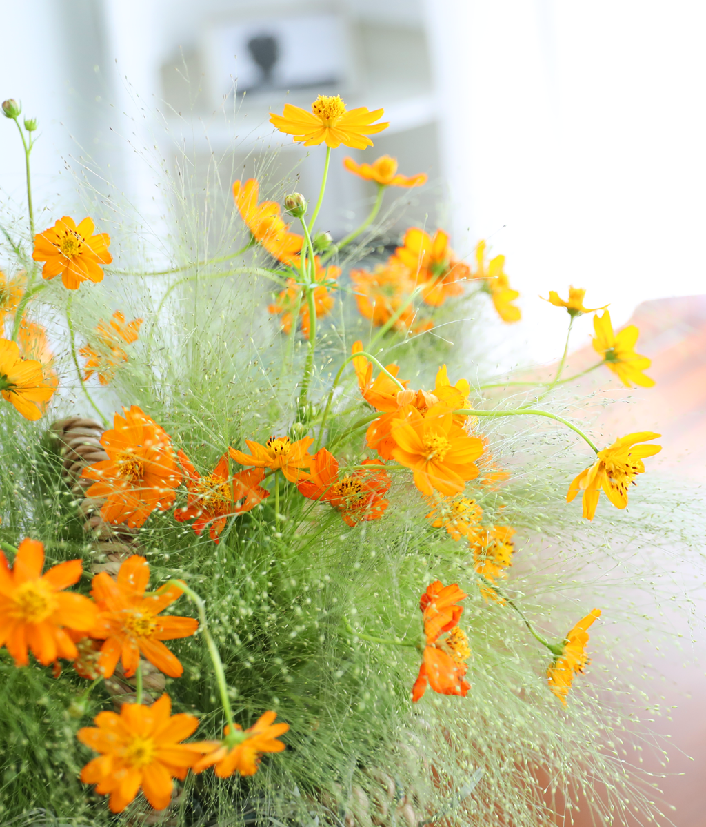 �������� ��� ����