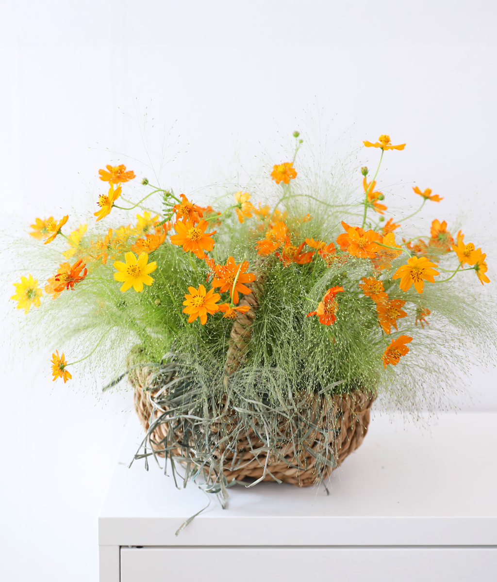 �������� ��� ����