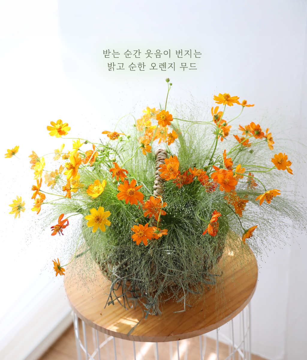 �������� ��� ����