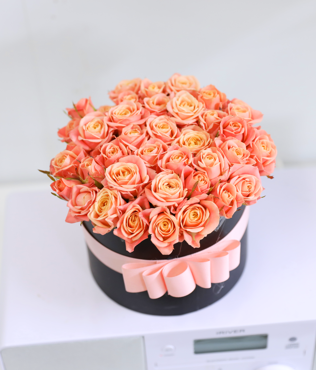 ��ũ�� ���� �� ��Ǭ