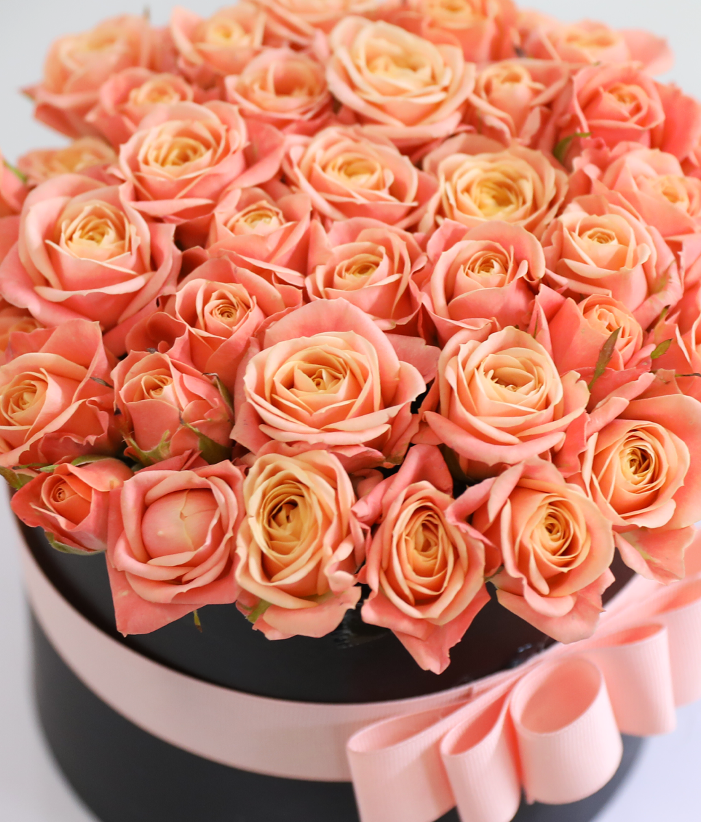 ��ũ�� ���� �� ��Ǭ