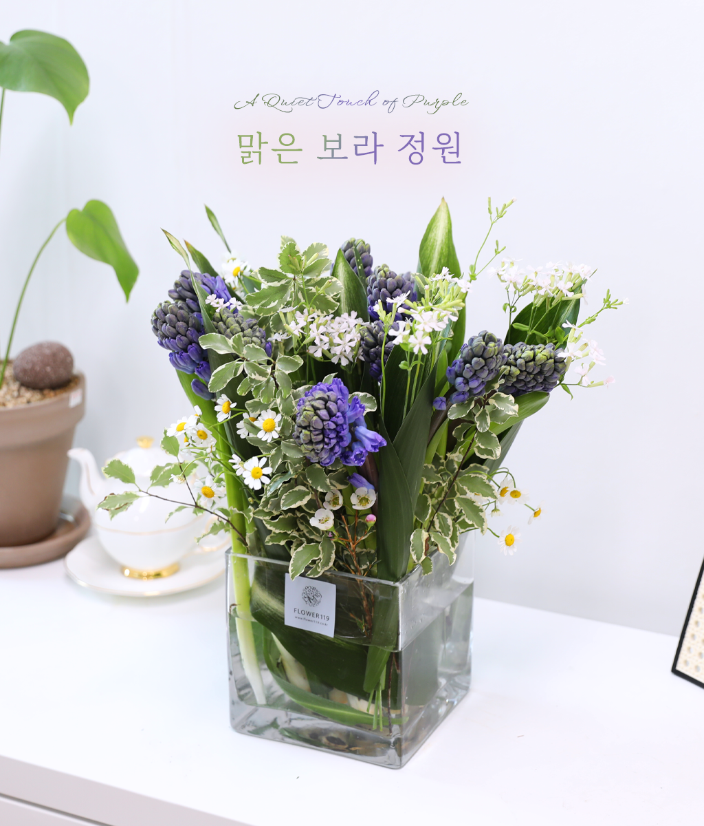 ���� ���� ���� ���� �ɹ��