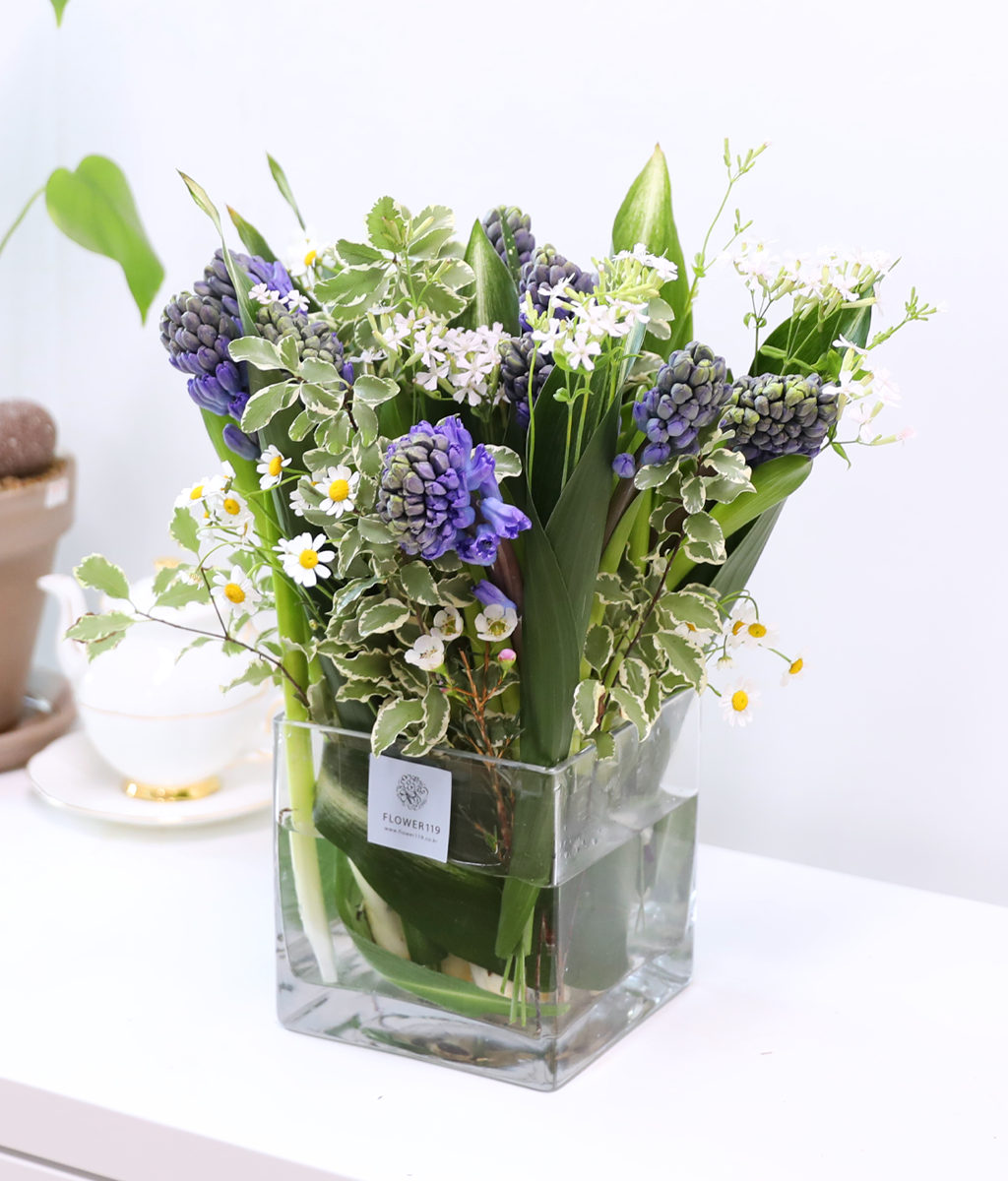 ���� ���� ���� ���� �ɹ��