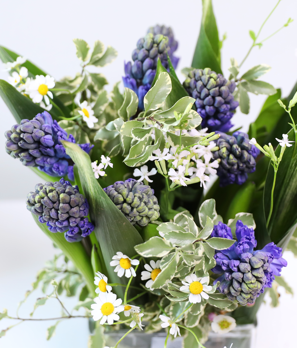 ���� ���� ���� ���� �ɹ��