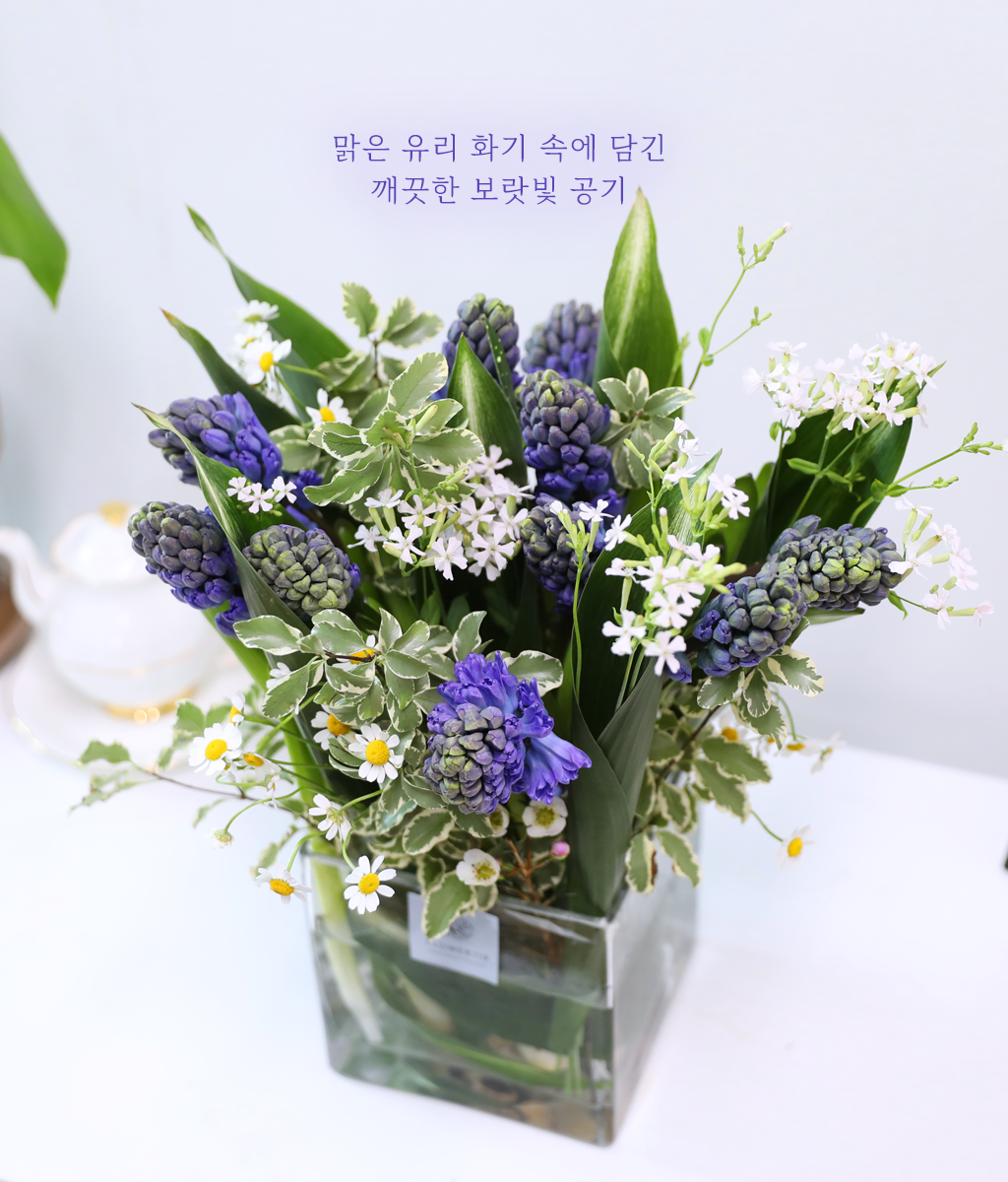 ���� ���� ���� ���� �ɹ��